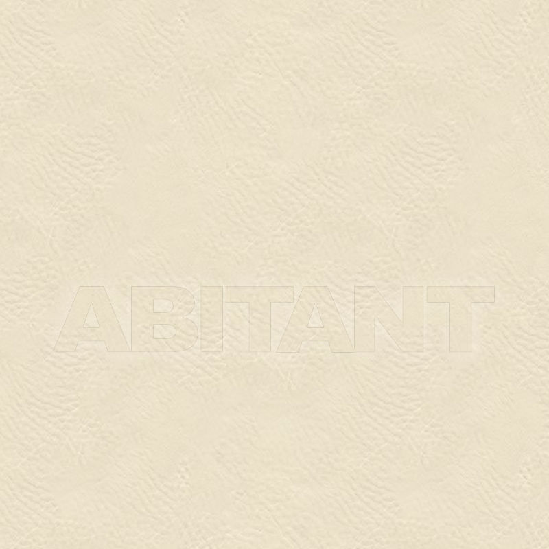 Buy Upholstery AMBITION CREAM  Vanguard Furniture Leather 2599 