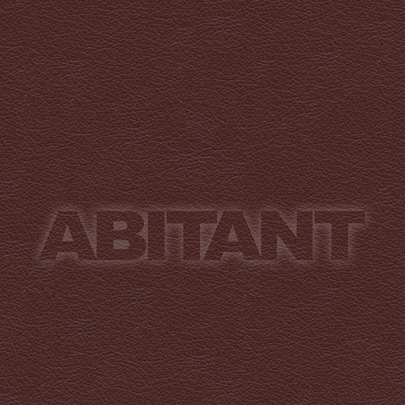 Buy Upholstery CAPRONE BERRY Vanguard Furniture Leather 2154 