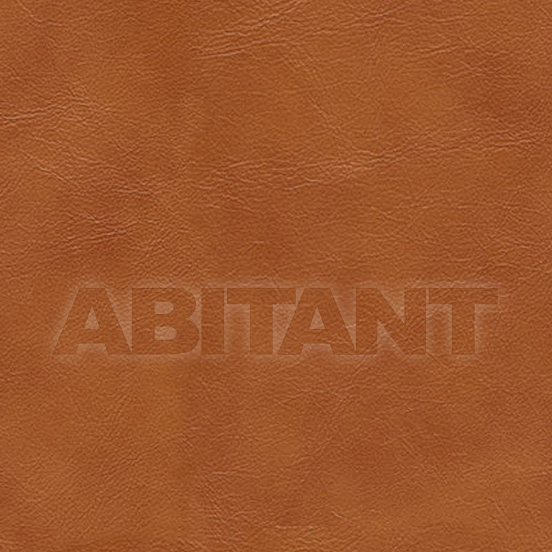 Upholstery FIRENZE COGNAC 1100 price on request Buy Upholstery FIRENZE COGNAC Vanguard Furniture Leather 1100