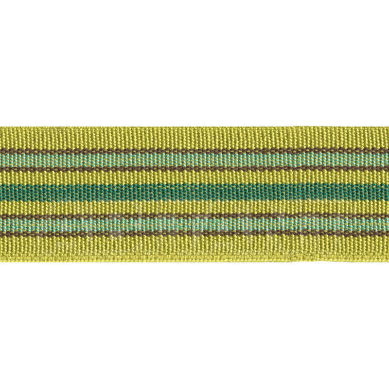 Buy Cord BAND AVOCADO Vanguard Furniture Trim 1009 