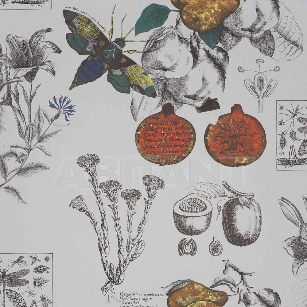 Wallpaper Linneo WP GDW4848 001 price on request Buy Wallpaper Linneo WP Gastón y Daniela 2018 GDW4848 001