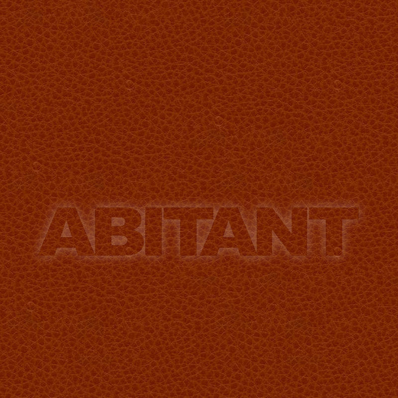 Buy Upholstery Kravet FABRICS MARE-24