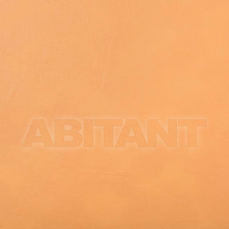 Buy Upholstery Kravet FABRICS RUGGED.6.0