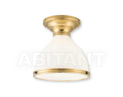 Buy Light Hudson Valley Lighting Standard 2612-AGB