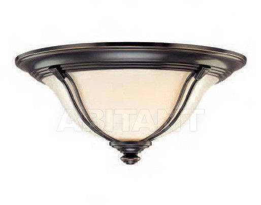 Buy Light Hudson Valley Lighting Standard 5411-OB