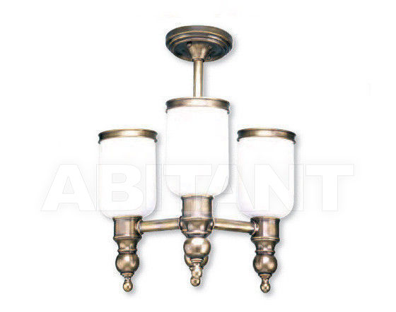 Buy Light Hudson Valley Lighting Standard 6313-AN