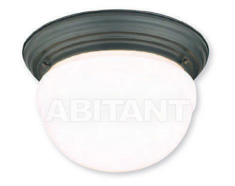 Buy Light Hudson Valley Lighting Standard 205-OB
