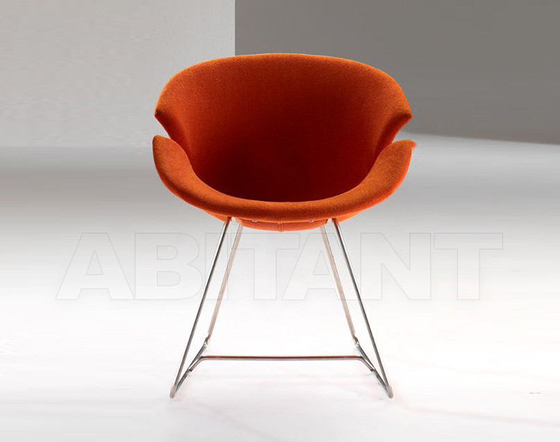 Buy Armchair Giovannetti  One Seat DAISY