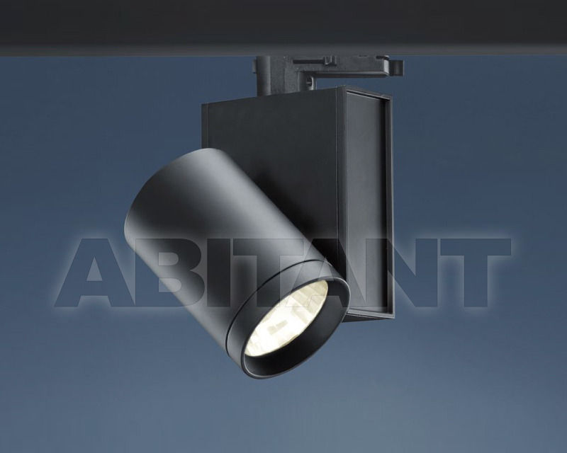 Buy Spot light CAM Schmitz 2014 15298.98