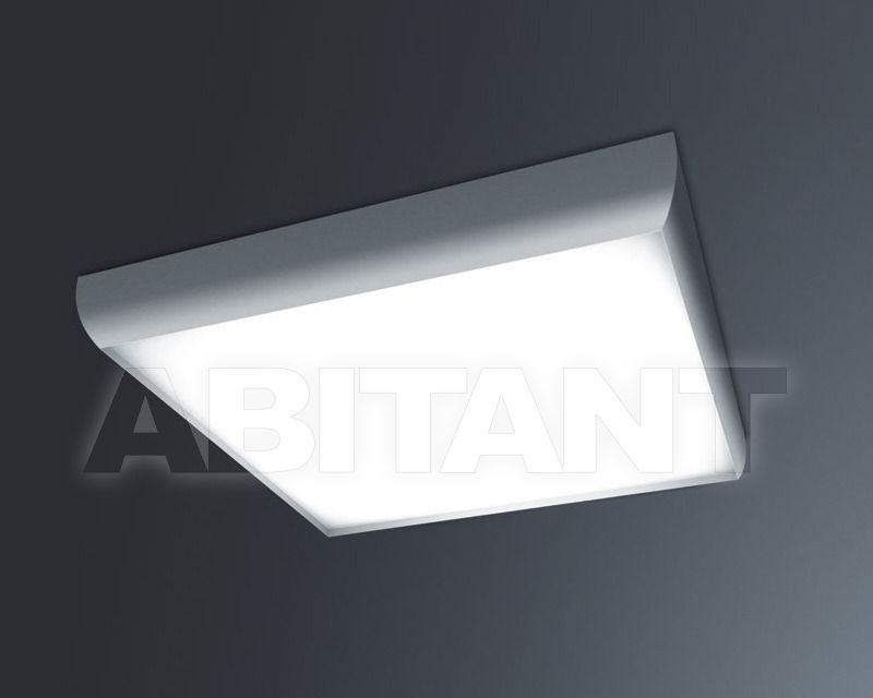 Buy Light DRIVE Schmitz 2014 15539.250-30