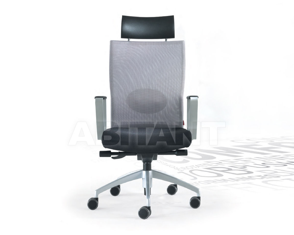 Buy Сhair Queen Vigano Office Office QD2H Cat. A+G+M