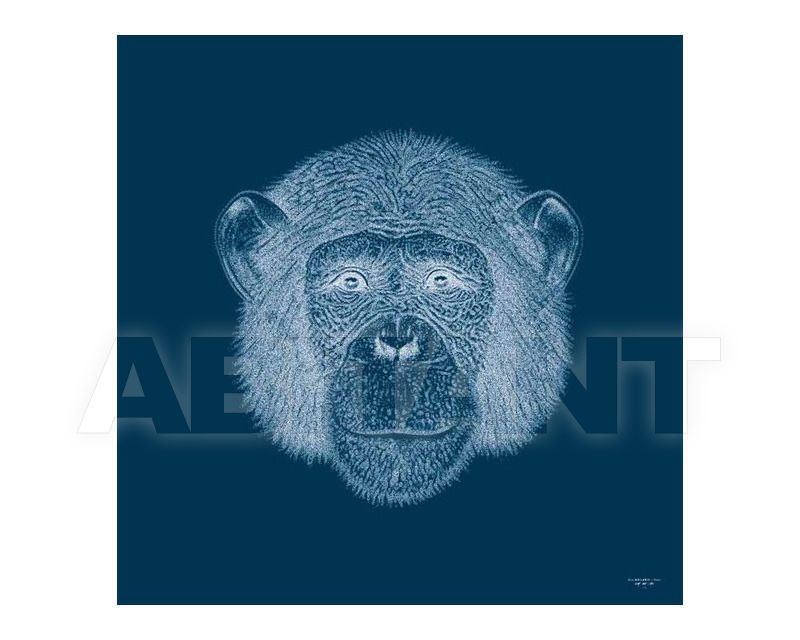 Painting Digital Art Chimpanzé2 price on request Buy Painting Mio International 2014 Digital Art Chimpanzé2