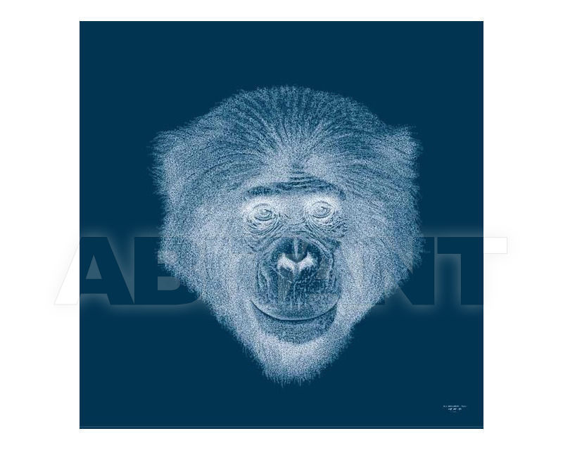 Buy Painting Mio International 2014 Digital Art Bonobo