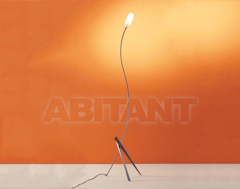 Buy Floor lamp Album Generale LA 142/TG 