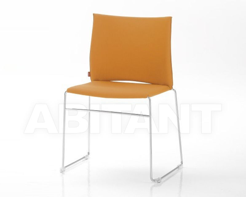 Chair WEB 5 price on request Buy Chair Infiniti Design Indoor WEB 5
