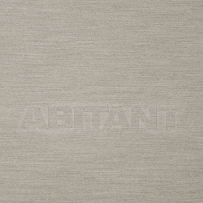 Buy Interior fabric  Dodge Cement Fabricut Chromatics Xx 3562802