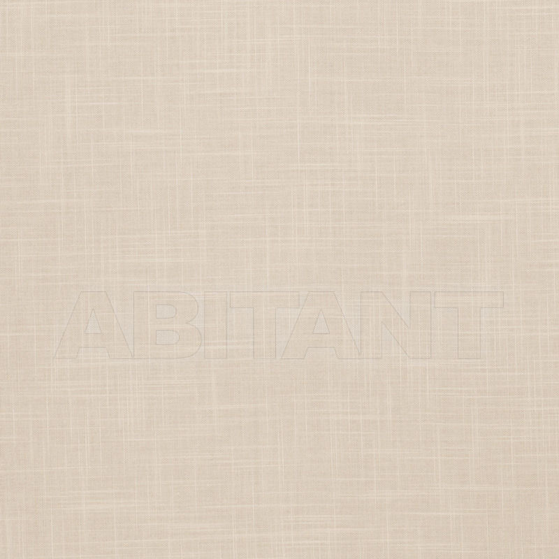 Buy Portiere fabric Jankosky Chamois Fabricut Textured Sheers Volume II 4469403