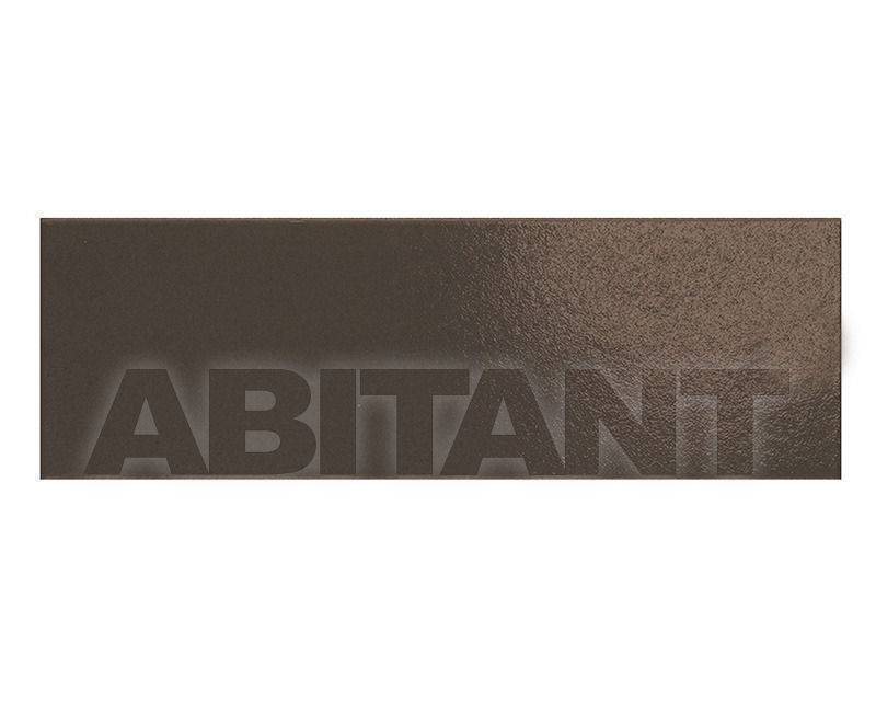 Buy Wall tile Tonalite COLORANDA 403