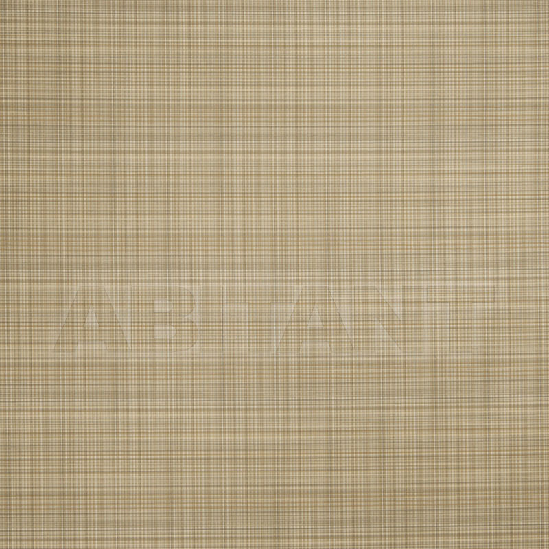 Buy Interior fabric  Postkarten Seashell Fabricut Chromatics Xx 3576103