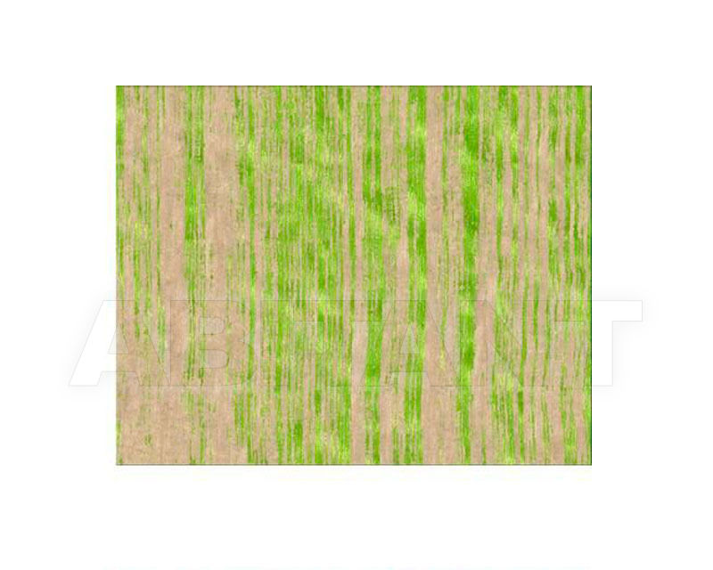 Buy Modern carpet Chevalier Edition Classique C 803 GREEN